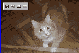    Windows 98 ME 2K XP
