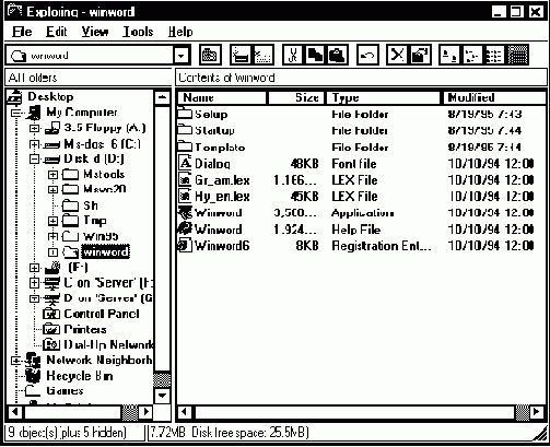   Windows 95  
