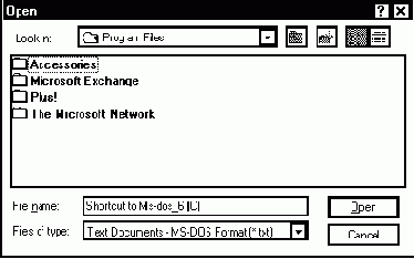   Windows 95  
