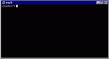 Менеджер окон для X Window с названием Fvwm95