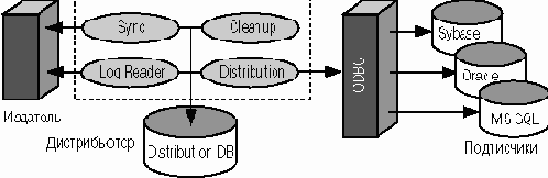    SQL-   Win95  WinNT
