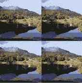      Direct3D  HLSL
