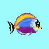      Direct3D  HLSL
