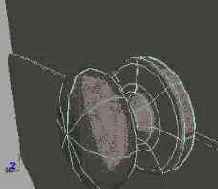  3D    Maya
