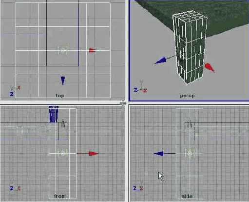  3D    Maya
