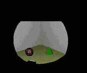  3D    Maya
