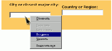   Internet Explorer