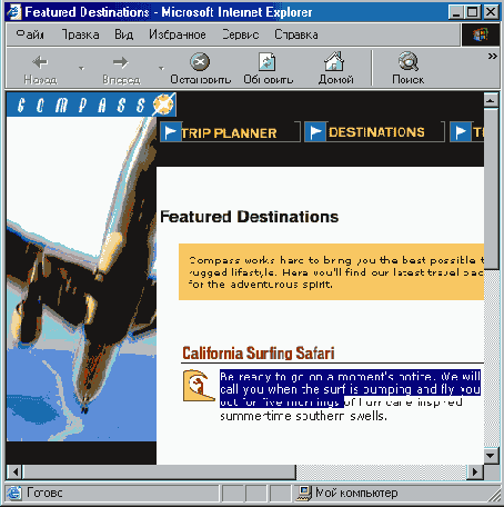   Internet Explorer