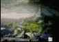  -    Adobe Photoshop
