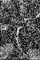    Photoshop 4
