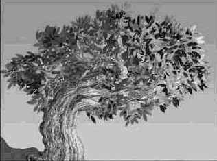 Секреты специальных эффектов Photoshop 4