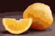   Photoshop