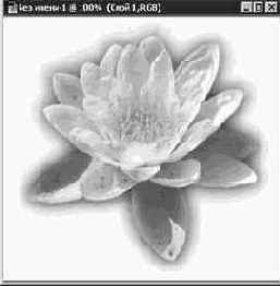 Photoshop 4-5 -  

