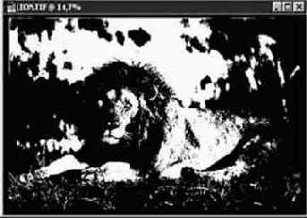Photoshop 4-5 -  
