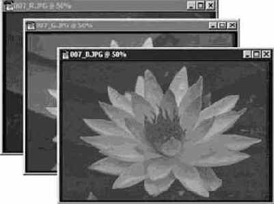 Photoshop 4-5 -  
