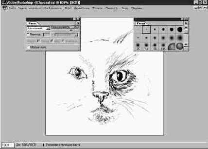 Photoshop 4-5 -  
