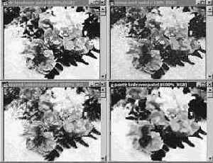 Photoshop 4-5 -  
