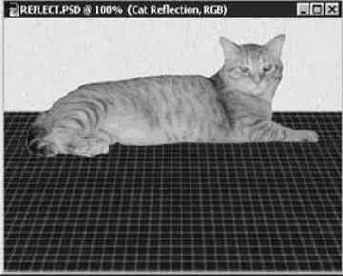 Photoshop 4-5 -  
