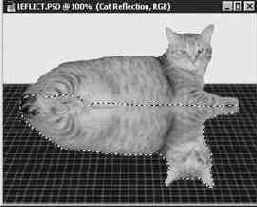Photoshop 4-5 -  
