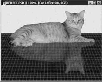 Photoshop 4-5 -  
