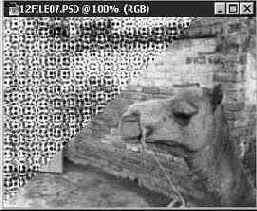 Photoshop 4-5 - учебный курс