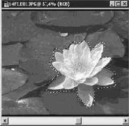 Photoshop 4-5 - учебный курс