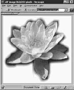 Photoshop 4-5 - учебный курс