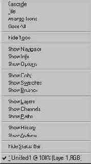 Photoshop 4-5 -  
