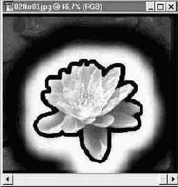 Photoshop 4-5 -  
