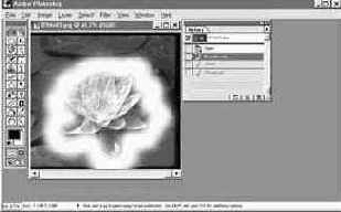 Photoshop 4-5 -  
