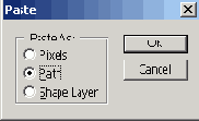      Photoshop  Illustrator
