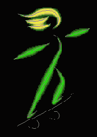      Photoshop  Illustrator
