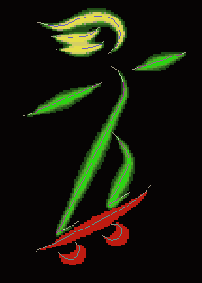      Photoshop  Illustrator
