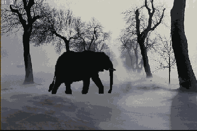      Photoshop  Illustrator
