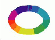      Photoshop  Illustrator
