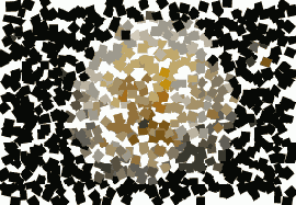      Photoshop  Illustrator
