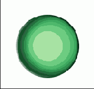      Photoshop  Illustrator
