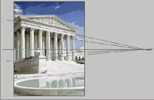      Photoshop  Illustrator

