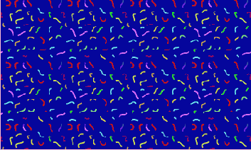      Photoshop  Illustrator
