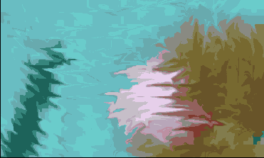      Photoshop  Illustrator
