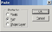      Photoshop  Illustrator
