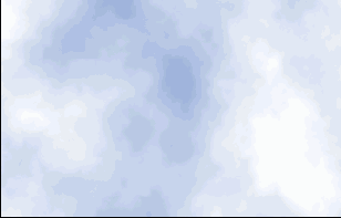      Photoshop  Illustrator
