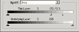      Photoshop  Illustrator
