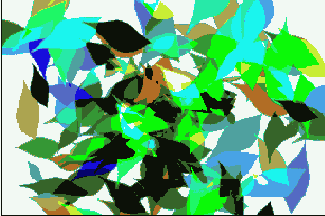      Photoshop  Illustrator
