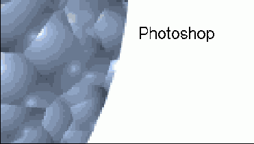 Photoshop  Illustrator
