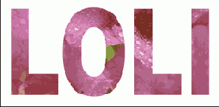 Photoshop  Illustrator
