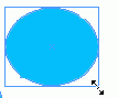    InDesign
