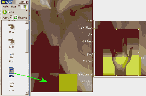    Adobe InDesign CS2
