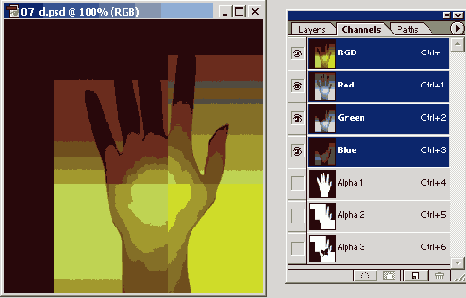    Adobe InDesign CS2
