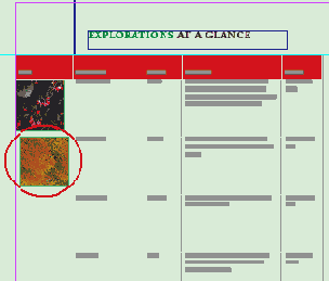 Иллюстрированный самоучитель по Adobe InDesign CS2